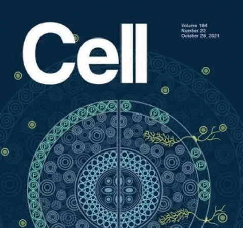 祝賀王二濤老師團(tuán)隊(duì)又一佳作榮登Cell期刊！